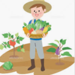 Message: Parable of the Sower