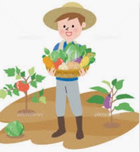 Message: Parable of the Sower