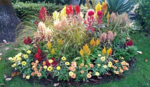 認知症講演会(11月15日)