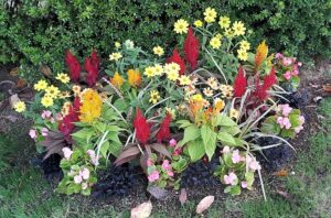 Acts of the Apostles 20:35