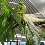 串本町在住の楠原美穂さんをご紹介します。