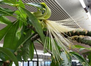 串本町在住の楠原美穂さんをご紹介します。