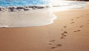 令和3年8月8日 礼拝メッセージ 「誰を遣わそうか」