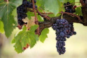 Bible Study series No.3 from "The Gospel of John" on Sept. 26, 2021