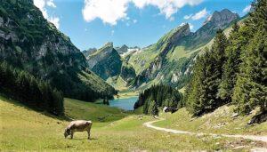 ヨハネによる福音書　講解　第５回　「ニコデモという人」