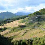 Bible Study series No.8 from The Gospel of John: " Have you given up? "