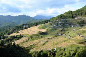 Bible Study series No.8 from The Gospel of John: " Have you given up? "