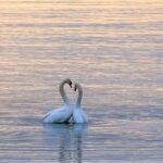 Bible Study series No.9 from The Gospel of John: "Sabbath Q&A"