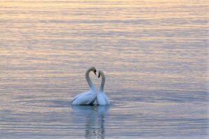 Bible Study series No.9 from The Gospel of John: "Sabbath Q&A"