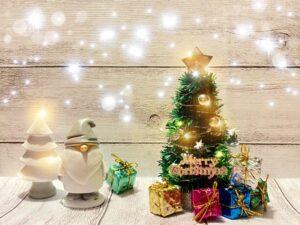 令和3年12月26日 ヨハネによる福音書 講解 第14回 「キリストが生まれたわけ」