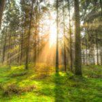 令和４年１月１６日　ヨハネによる福音書　講解　第１７回　「ラザロの死の意味」