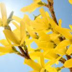 Bible Study series No.26 from the Gospel of John "It is finished."