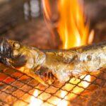 Bible Study series No.28 from the Gospel of John "Feed my sheep."