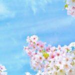 令和４年４月３日　ヨハネによる福音書　講解　第２８　「私の羊を養いなさい」