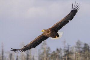 令和4年4月24日 礼拝メッセージ:証集:韓国留学記(3)「落第からのよみがえり」