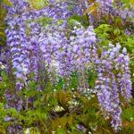 令和４年４月１７日　ウクライナ緊急支援募金活動始まる。礼拝メッセージ：証集：韓国留学記（２）「入試面接での危機」