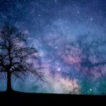 May 1, 2022: Worship Service Testimony Series No.4 "at the Starry Village"