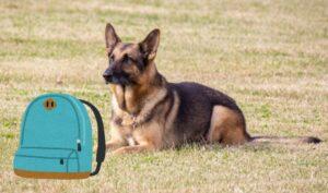 令和4年6月12日 礼拝メッセージ:証集:海外での主のめぐみ ―スイス(チューリッヒ)(2):「2つの忘れ物」」