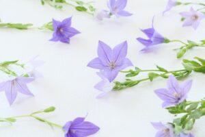 July 17, 2022: Worship Service Testimony Series No.12 The Lord's Blessing Abroad(3)- Brazil (San Paulo) (3) " Unforgettable People, Triumphant in Heaven (1)""