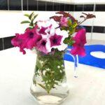 ウクライナ支援報告　第二便　「小さな医務室から」