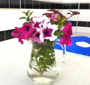 ウクライナ支援報告 第二便 「小さな医務室から」