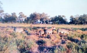 Oct.23, 2022: Worship Service Testimony Series No.19 The Lord's Blessing Abroad, Zambia (2) "Bipolar Disorder (Manic Depression)"