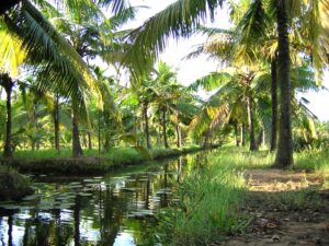 令和５年１月２２日　礼拝メッセージ：証集：海外での主のめぐみ：南インドケララ州での証（１）、「地域緩和医療の学び」