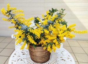 令和5年3月12日 家庭礼拝シリーズ(5)「家の土台」