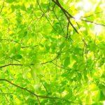 April 23, 2023: Worship Service Family Worship Series No.11 ,"Jesus Returns to Heaven”　