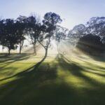 令和５年５月２８日　家庭礼拝シリーズ（１４）題：「ペンテコステってな〜に？」