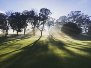 令和5年5月28日 家庭礼拝シリーズ(14)題:「ペンテコステってな〜に?」