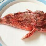 令和５年７月２３日　家庭礼拝：旧約聖書物語（４－１）題：「モーセの誕生」