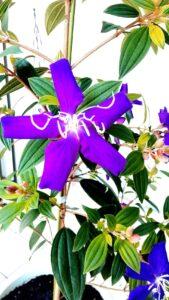 Sept. 17, 2023: Family Worship Service: Old Testament (6-1) :  "Title: "Gideon's Mission and Failure"”　