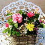 令和５年９月１７日　家庭礼拝：旧約聖書物語（６－１）題：「ギデオンの使命と失敗」