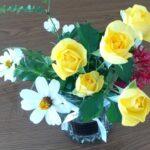 令和５年１１月１２日　家庭礼拝：旧約聖書物語（７－３）「少年・ダビデ」」