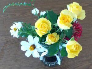 令和５年１１月１２日　家庭礼拝：旧約聖書物語（７－３）「少年・ダビデ」」